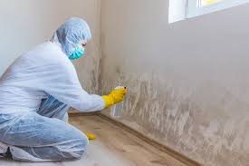 Best Black Mold Removal  in Leakesville, MS