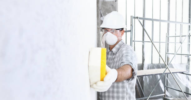 Why You Should Choose Our Mold Remediation Services in Leakesville, MS